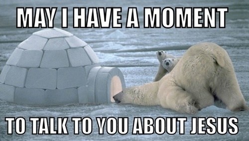 eb944e373eb6c7fa21a09c27727dd76d--hilarious-animals-adorable-animals.jpg