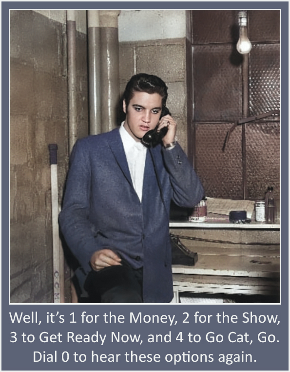 Elvis BSS Operator v2.jpg
