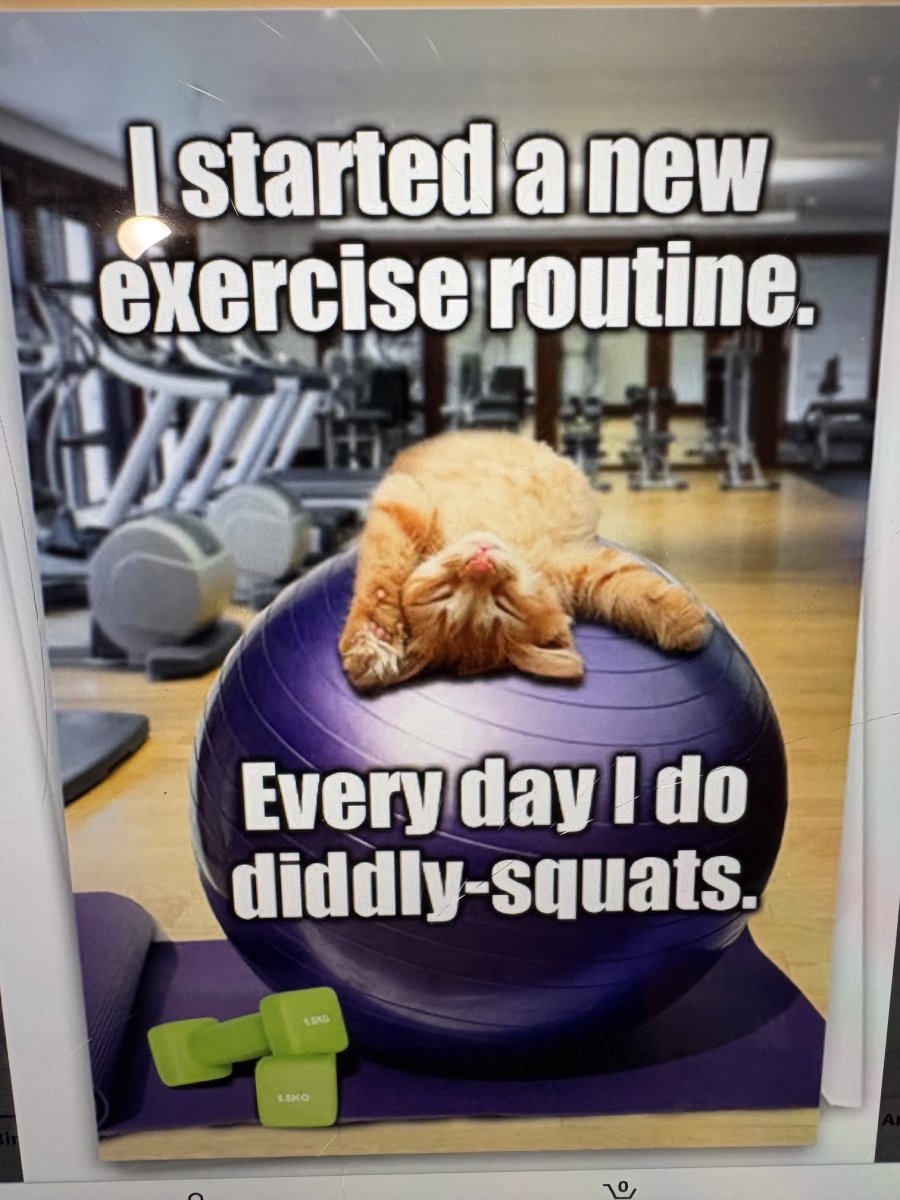 exercise meme.jpeg