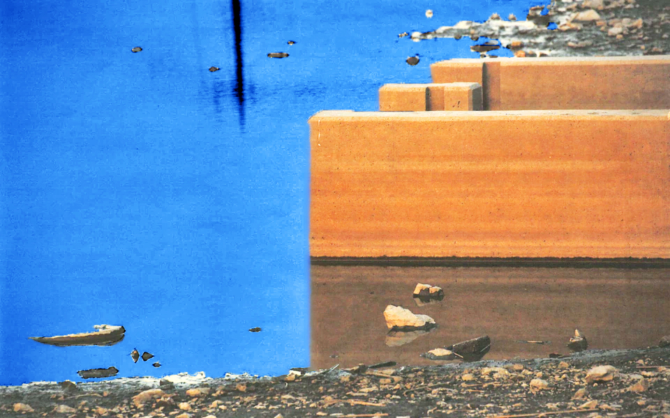 Expanded Scene Where Egret Walked.jpg