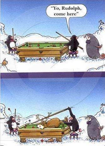 FB_IMG_1639671964975.jpg