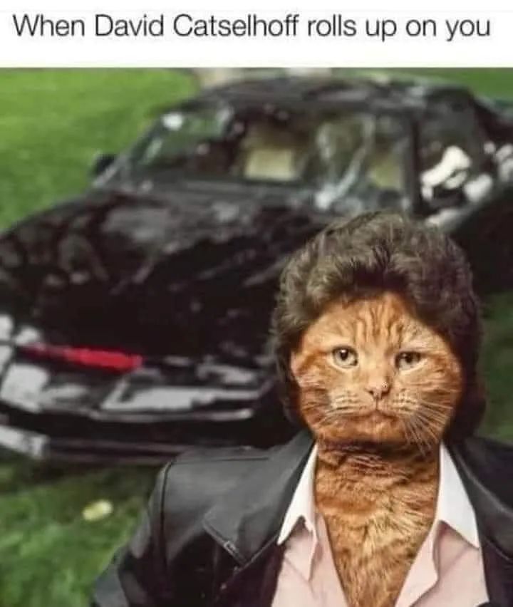 Funny pic/gif thread | Page 2469 | AzBilliards Forums Funny pic/gif thread | Page 2469 | AzBilliards Forums