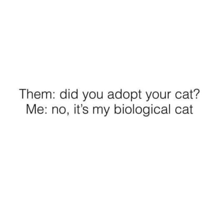FB_IMG_1648224176222.jpg
