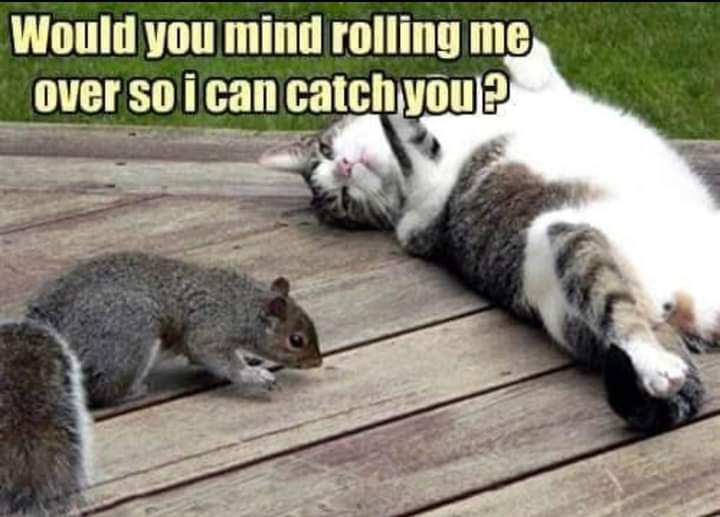 FB_IMG_1648347974915.jpg
