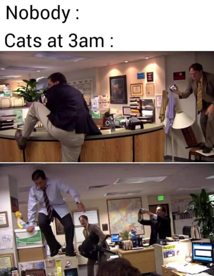 FB_IMG_1658097629996.jpg