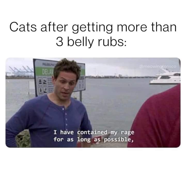 FB_IMG_1658379188326.jpg