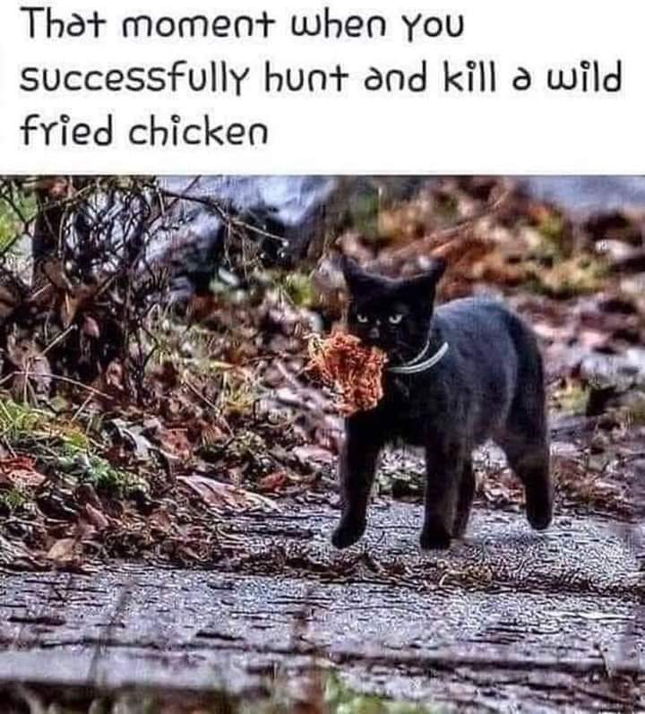 FB_IMG_1658418796646.jpg