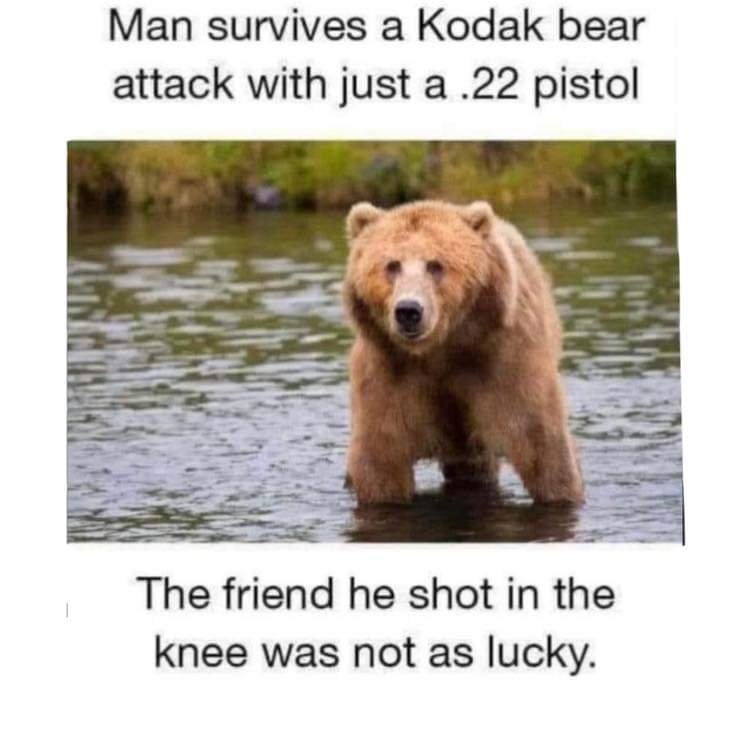FB_IMG_1662686262068.jpg