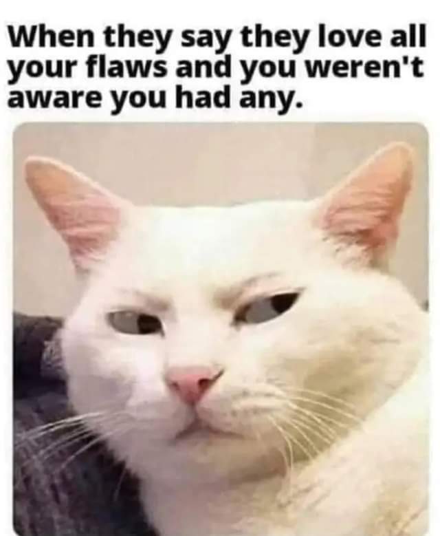 FB_IMG_1683726009624.jpg