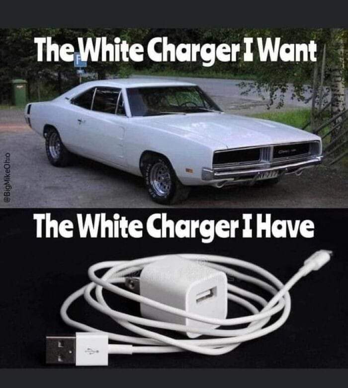 FB_IMG_1692651907252.jpg