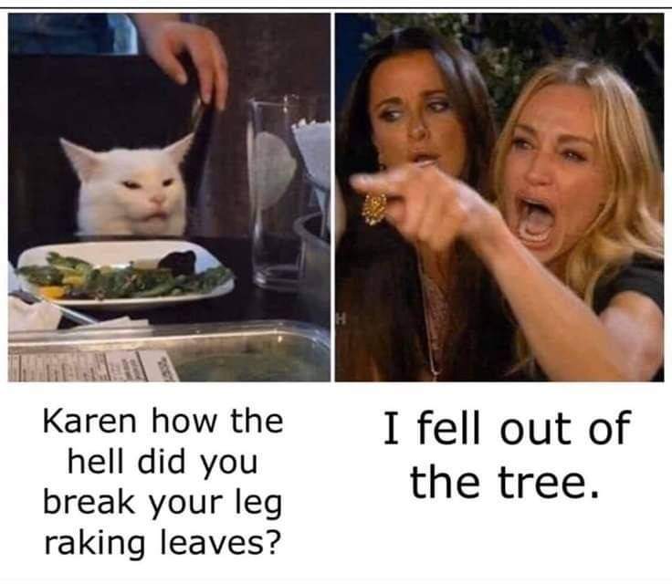 FB_IMG_1693947766863.jpg