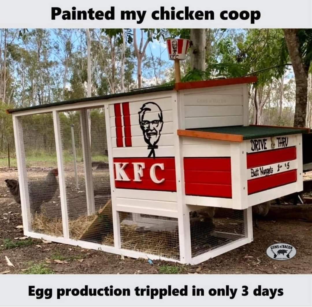 FB_IMG_1718994412219.jpg
