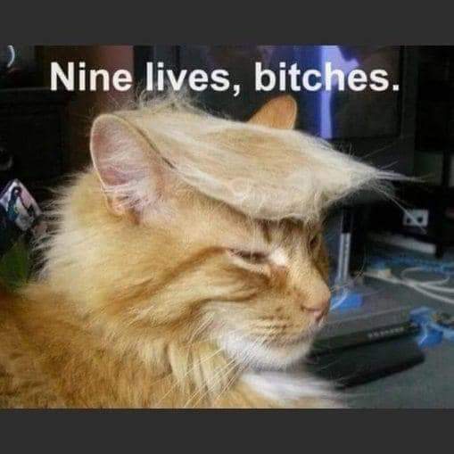 FB_IMG_1721071951806.jpg