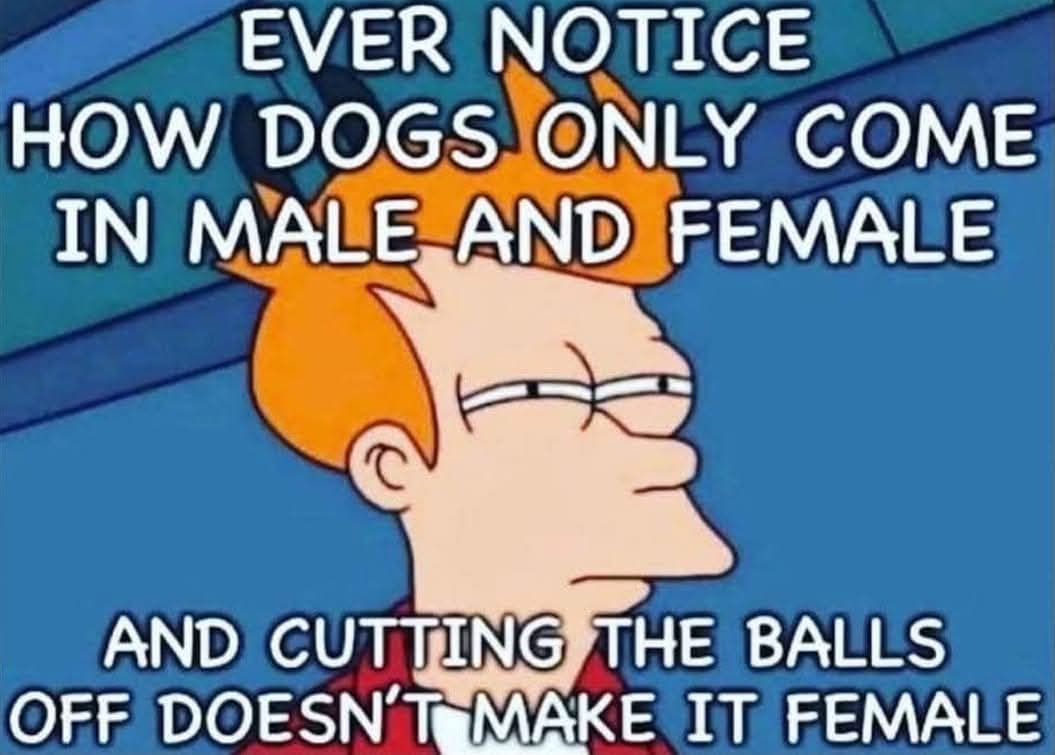 FB_IMG_1734172744604.jpg