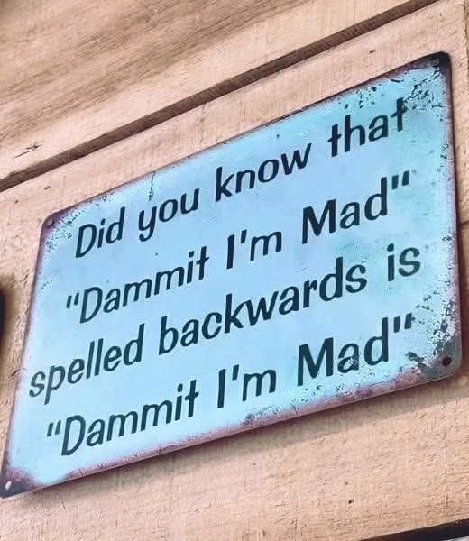 FB_IMG_1741798727489.jpg