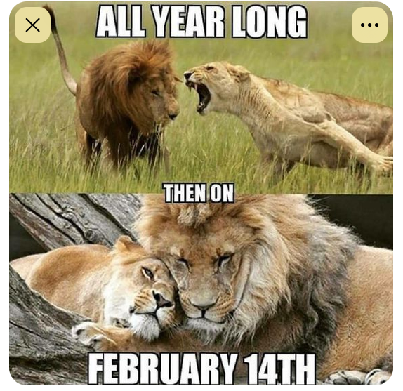 feb 14.png