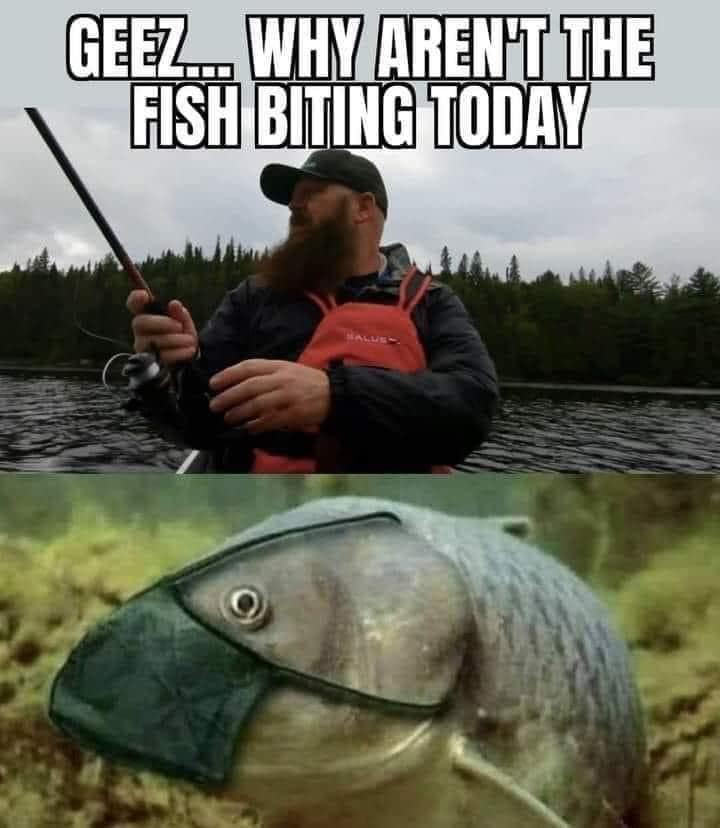 fish biting.jpg