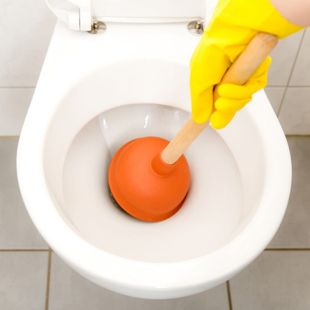 flush.jpg