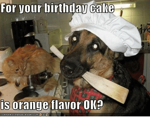 for-your-birthday-is-orange-flavor-ok-happy-husband-meme-1.png