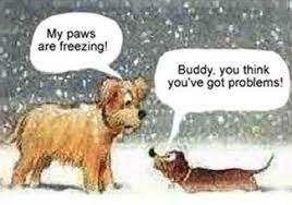 freezing.jpg