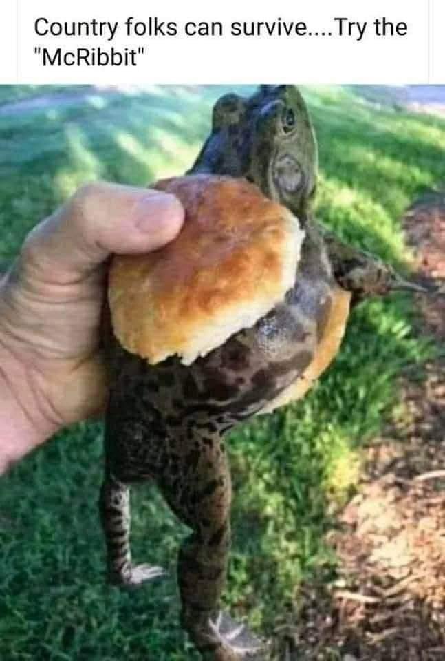 frog.jpg