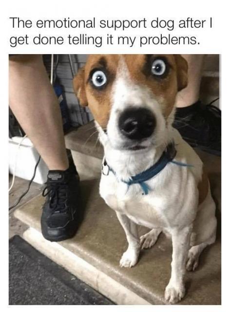 full-415-291371-675125632_10241766876291624_5547542403302280376_n.jpg