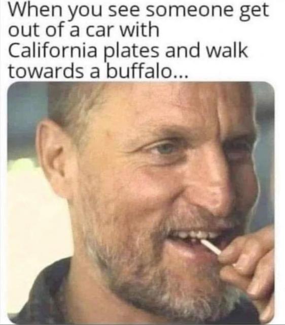 full-415-294209-508149112_10237079676994571_4275454292140323475_n.jpg