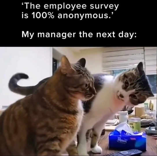 full-57870-280823-employee_survey_100_percent_anonymous_boss_next_day_cat.jpg