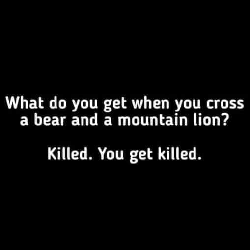 full-60302-289929-bear_and_mountain_lion_meme.jpg