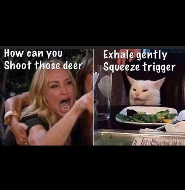 full-60302-289945-shooting_deer_meme.jpg