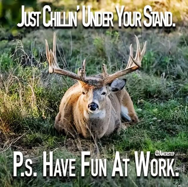 full-60302-289983-deer_sarcastic_meme.jpeg