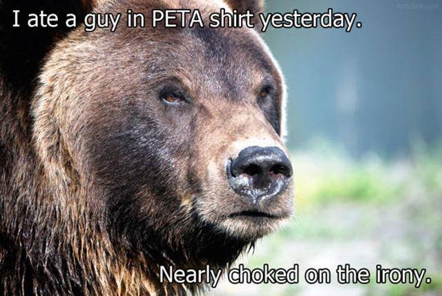 full-60302-290068-bear_eats_peta_member_meme.jpeg
