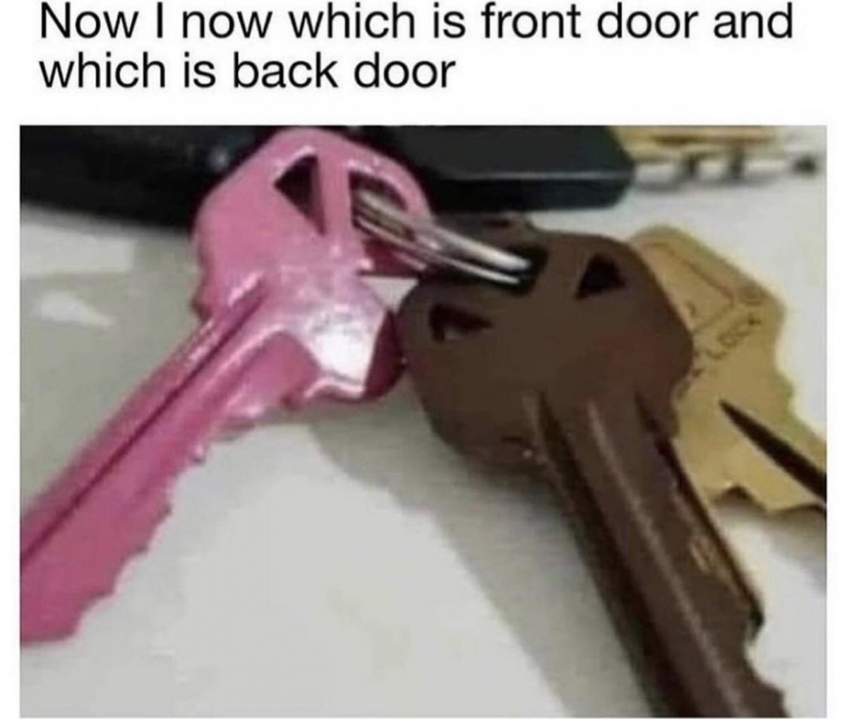 funny2.jpg