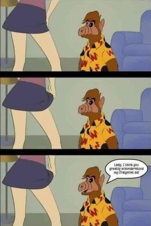 funny3.jpg