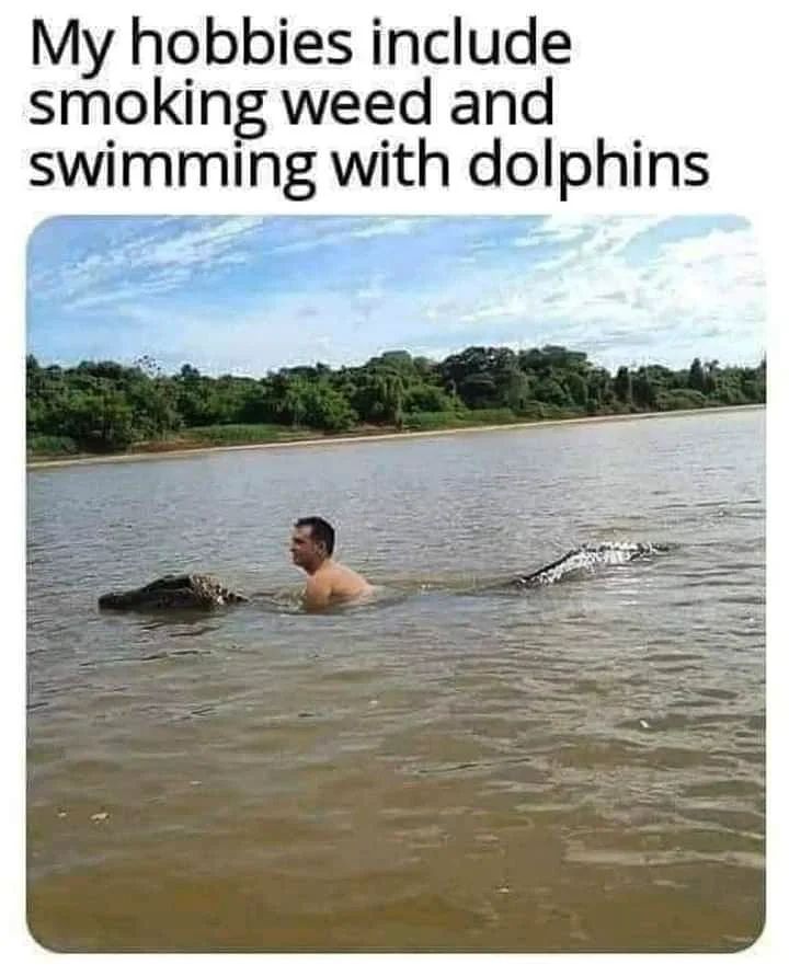 gator.jpg
