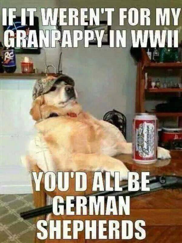 German Shepherds.jpg