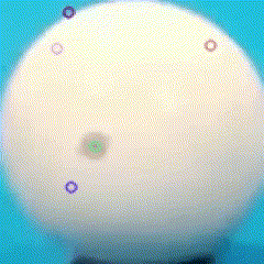 GIF.gif