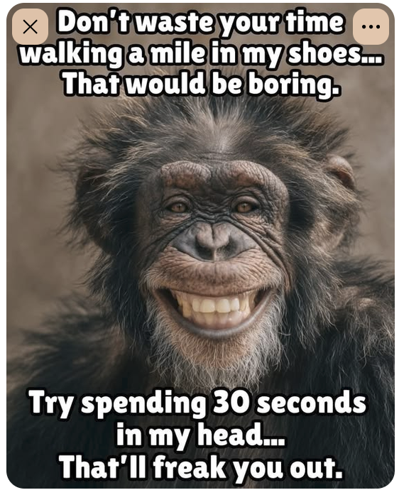 gorilla time in my headx.png