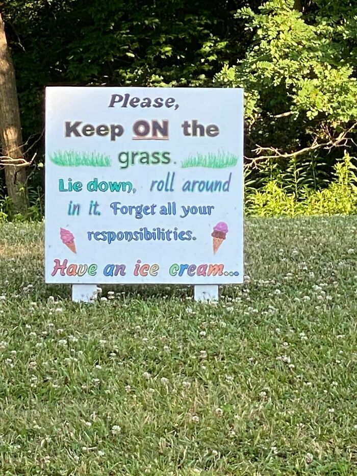 grass.jpg