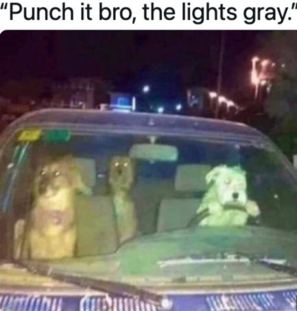 gray lights.png