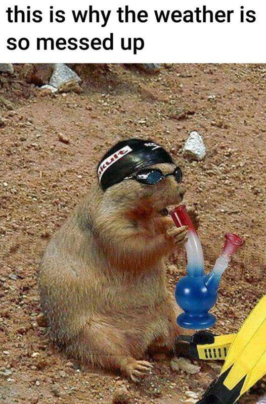 ground hog.jpg