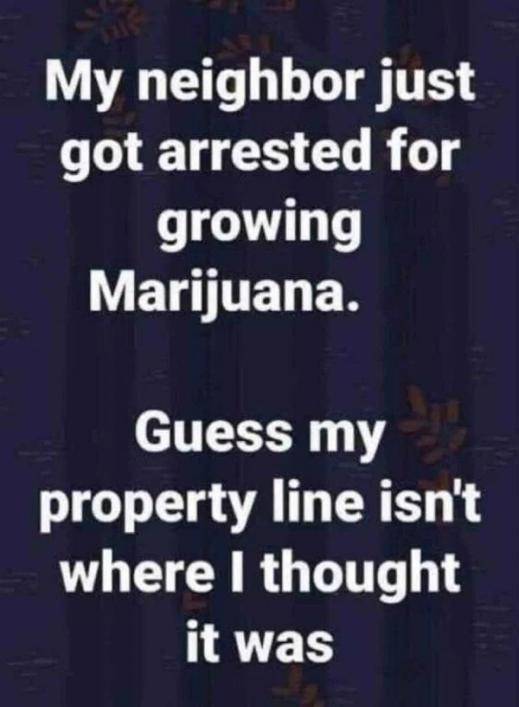 growing pot.jpg