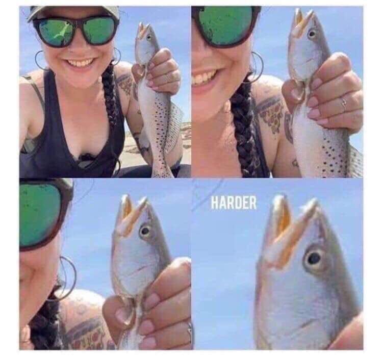 harder.jpg