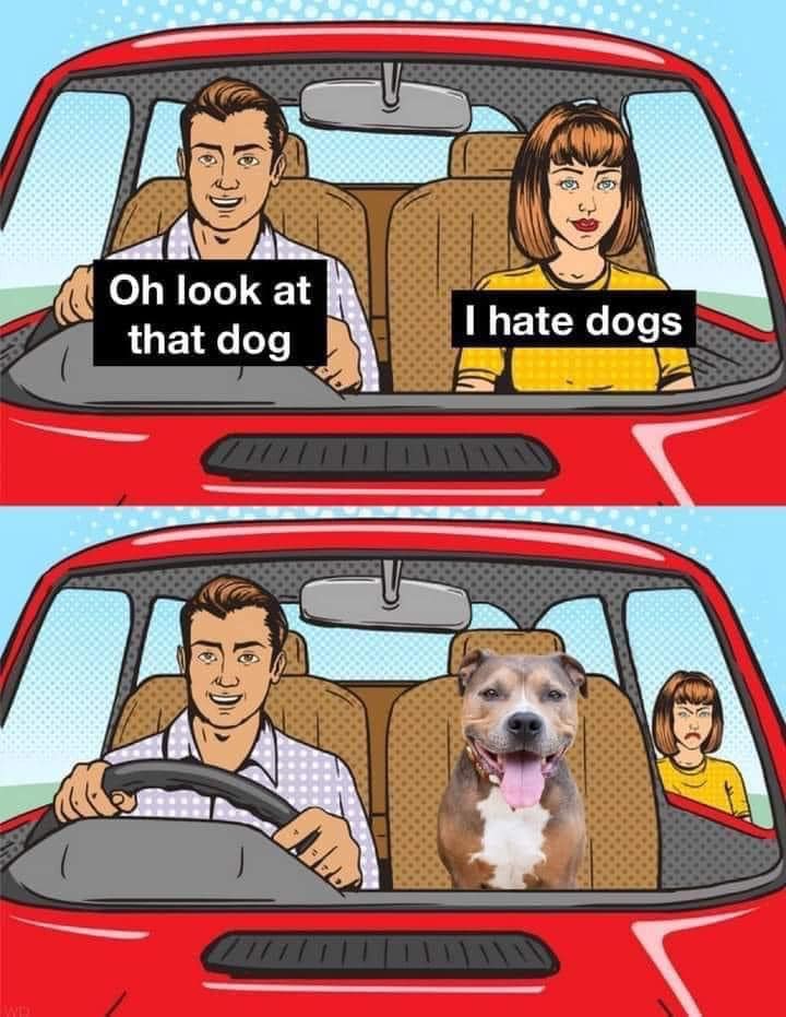 hate dogs.jpg