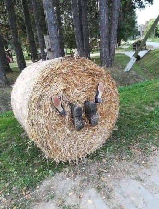 hay.jpg