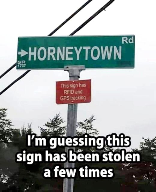 hornytown.jpg