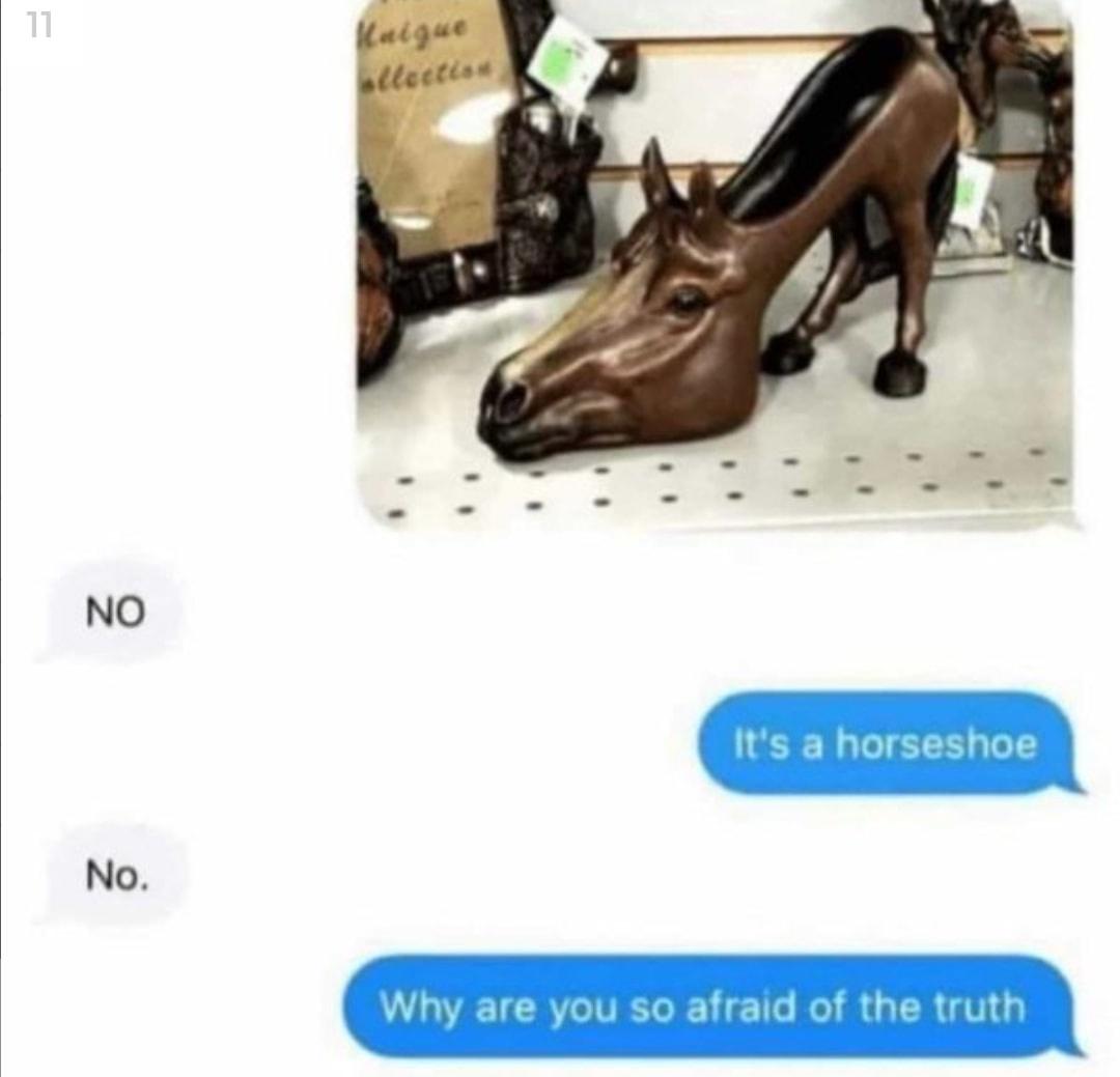 horse shoe.jpeg