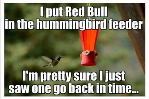 humminbird.jpg
