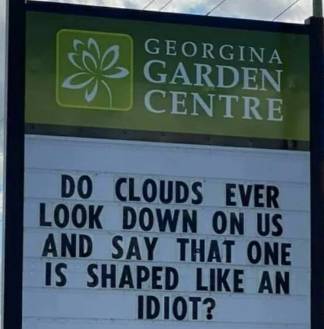 idiot cloud.jpg