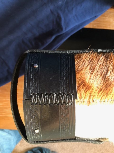 image11.jpeg